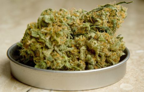 Marijuanaweed samples